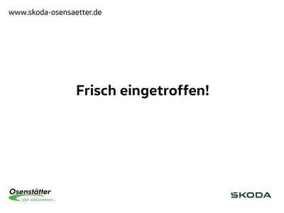 Gebraucht Skoda Elroq RS 250 kW (340 PS) 2026 Schwarz SUV