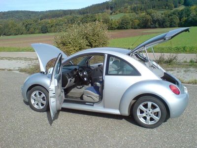 VW Beetle