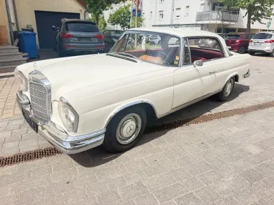 Gebraucht Mercedes 250 SE 150 PS (110 kW) 1966 Weiß