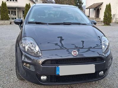 Gebraucht Fiat Punto Evo Lounge 69 PS (50 kW) 2016 Grau Kleinwagen