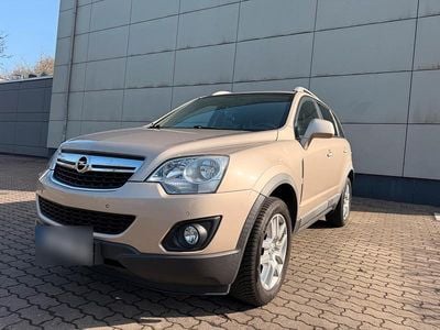 Usata Opel Antara 167 CV (122 kW) 2012 Beige SUV