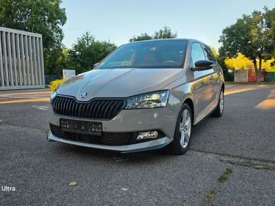 Gebraucht Skoda Fabia Monte Carlo 110 PS (80 kW) 2019 Grau Kleinwagen