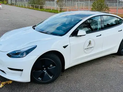 Gebraucht Tesla Model 3 366 kW (498 PS) 2023 Weiß Limousine