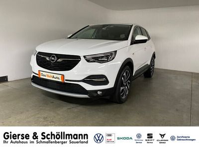 gebraucht Opel Grandland X 1.2 Turbo Dynamic LED+SHZ+EPH