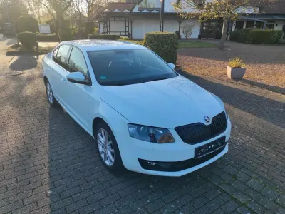 Gebraucht Skoda Octavia Elegance 180 PS (132 kW) 2015 Weiß Kombi