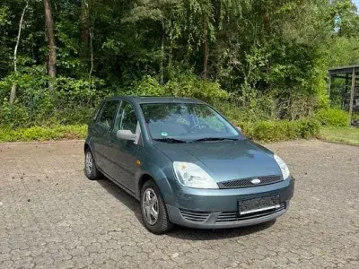 Brugt Ford Fiesta