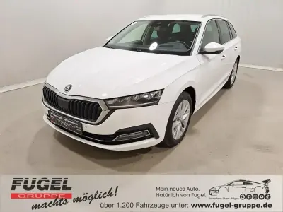 Gebraucht Skoda Octavia Style 150 PS (110 kW) 2024 Candyweiss Kombi