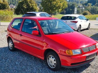 VW Polo