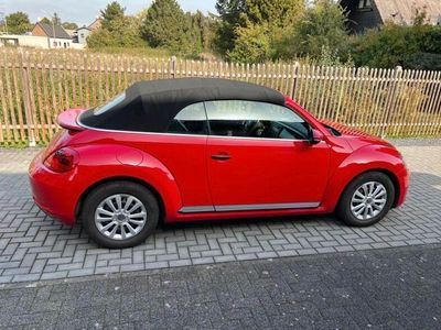 gebraucht VW Beetle 