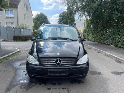 Mercedes Viano