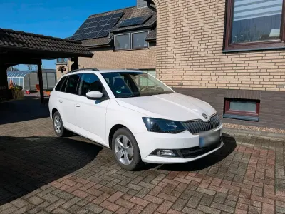 Brugt Skoda Fabia