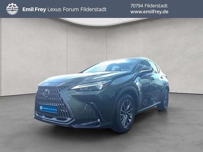 Neu Lexus NX350h Executive Line 200 PS (147 kW) 2026 Gelb SUV