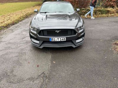 gebraucht Ford Mustang GT 5.0 Ti-VCT V8 Aut.