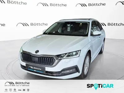Gebraucht Skoda Octavia Style 116 PS (85 kW) 2023 Moonweiss metallic Kombi