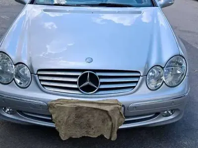 Gebraucht Mercedes CLK200