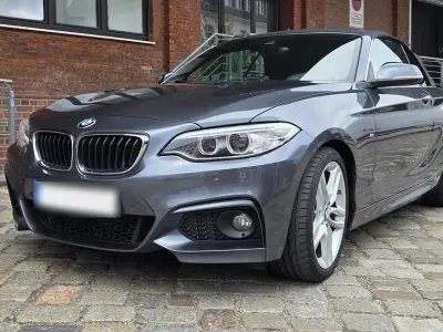 Brugt BMW 220