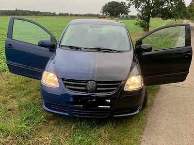 VW Fox