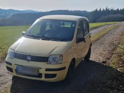 Usata Fiat Panda 2009 Giallo Utilitaria