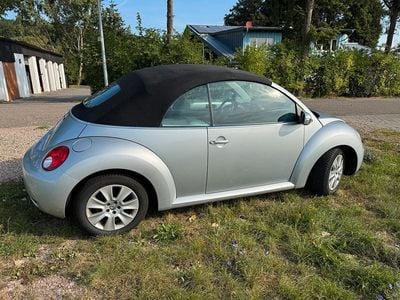VW Beetle