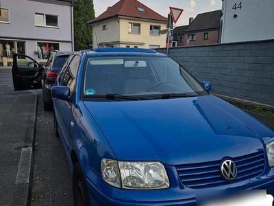 VW Polo