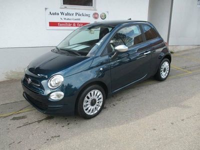 Gebraucht Fiat 500 69 PS (50 kW) 2023 Schwarz Kleinwagen