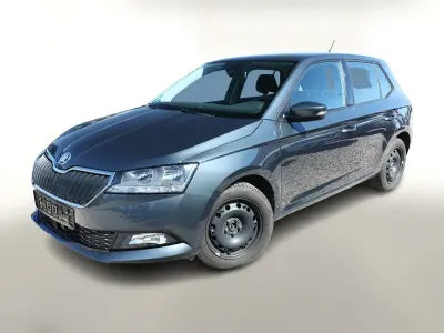 Gebraucht Skoda Fabia Ambition 110 PS (80 kW) 2019 Grau metallic Kleinwagen