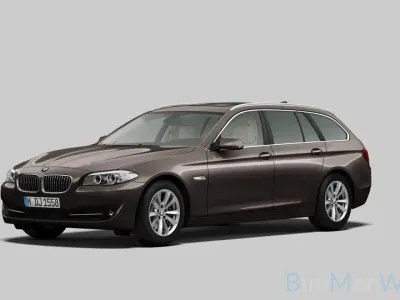 Usata BMW 525 218 CV (160 kW) 2011 Marrone Station wagon