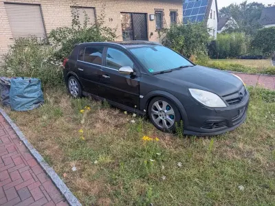 Gebraucht Opel Signum