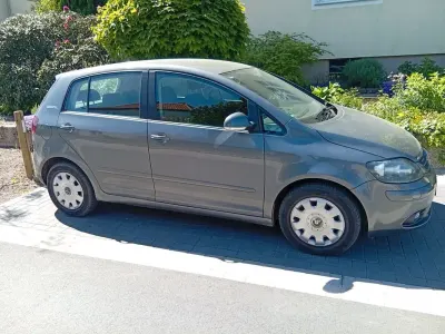 Gebraucht VW Golf Plus Cross Goal 102 PS (75 kW) 2006 Grau Van / Kleinbus