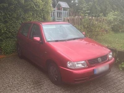 VW Polo