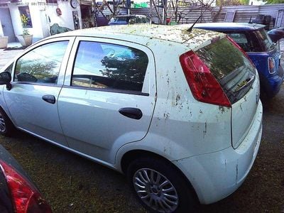 Usata Fiat Punto 73 CV (53 kW) 2011 Bianco Utilitaria