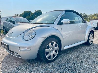 VW Beetle