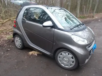 Gebraucht Smart ForTwo Coupé 71 PS (52 kW) 2011 Grau Coupé