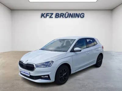 Gebraucht Skoda Fabia