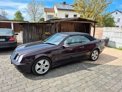 Usata Mercedes CLK230 197 CV (144 kW) 2001 Viola Cabrio