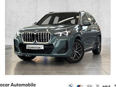 Gebraucht BMW X1 Luxury Line 170 PS (125 kW) 2024 Grün SUV