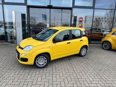 Neu Fiat Panda Icon 69 PS (50 kW) 2025 Gelb Kleinwagen