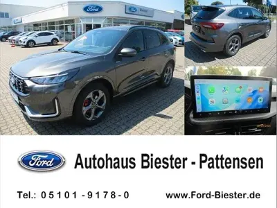 Neu Ford Kuga ST-Line X 186 PS (136 kW) 2026 Grau SUV