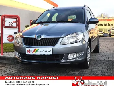 Second-hand Skoda Roomster 86 CP (63 kW) 2011 Gri Monovolum