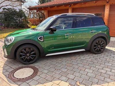 Gebraucht Mini Cooper S 178 PS (130 kW) 2022 Grün Kleinwagen