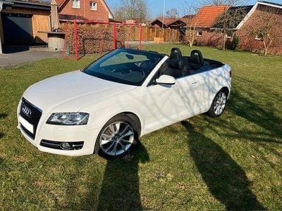 Gebraucht Audi A3 Cabriolet Attraction 140 PS (102 kW) 2011 Weiß Cabrio