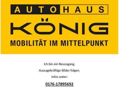 Gebraucht Renault Zoe Experience 80 kW (109 PS) 2020 Weiß Kleinwagen