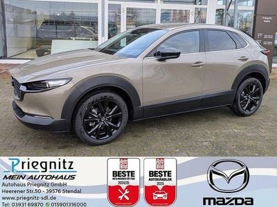 Neu Mazda CX-30 Nagisa 140 PS (102 kW) 2025 SUV