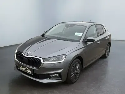 Gebraucht Skoda Fabia Tour 116 PS (85 kW) 2025 Graphitegrau metallic Kleinwagen