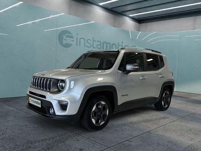 Silber Gebraucht 2019 Jeep Renegade Limited SUV | 18.369 € (Etwas zu teuer)