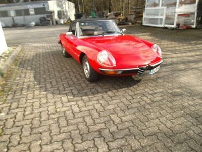 gebraucht Alfa Romeo Spider 1600 rot