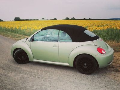 VW Beetle