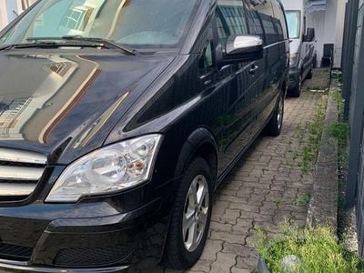 Mercedes Viano