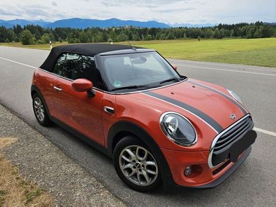 Gebraucht Mini Cooper 136 PS (100 kW) 2020 Orange Kleinwagen