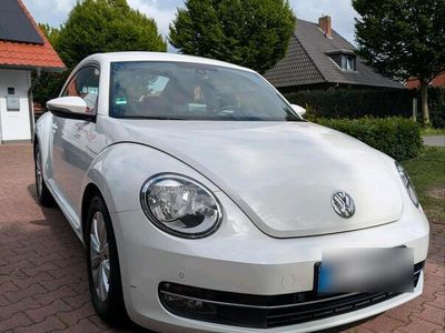 VW Beetle